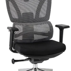 Scaun pivotant ergonomic DELSIN, negru