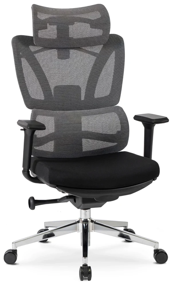 Scaun pivotant ergonomic DELSIN, negru