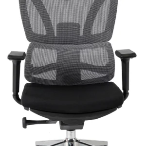 Scaun pivotant ergonomic DELSIN, negru