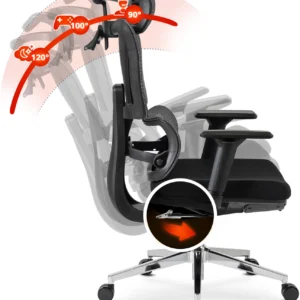 Scaun pivotant ergonomic DELSIN, negru