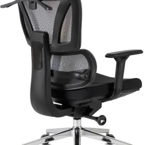 Scaun pivotant ergonomic DELSIN, negru