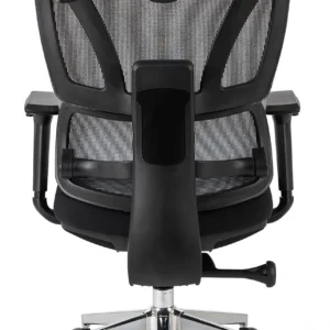 Scaun pivotant ergonomic DELSIN, negru