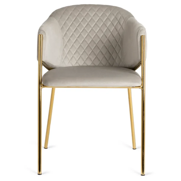 Scaun INNES din velur gri